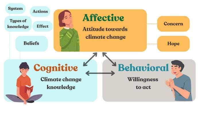 Conceptual framework