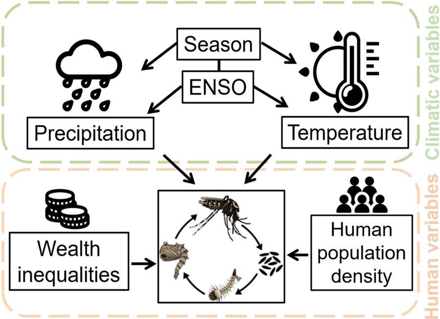 mosquitos study res