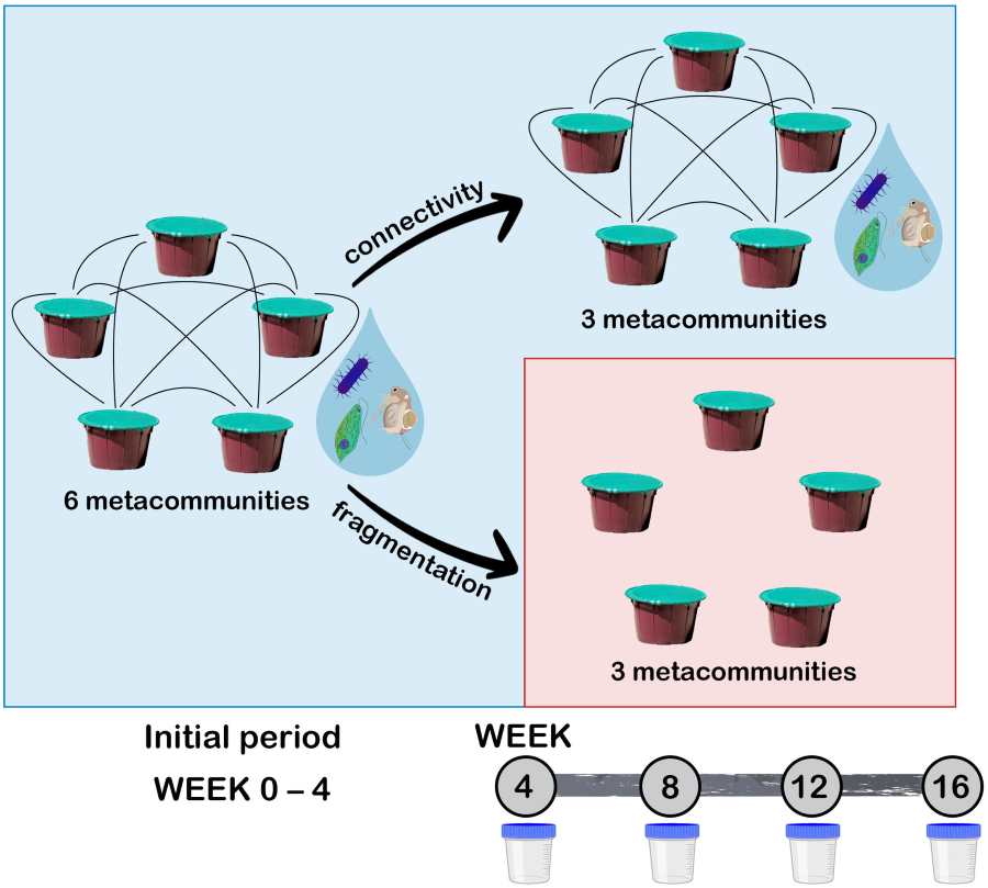 Connectivity loss in pond networks threatens microbial diversity study microbial res