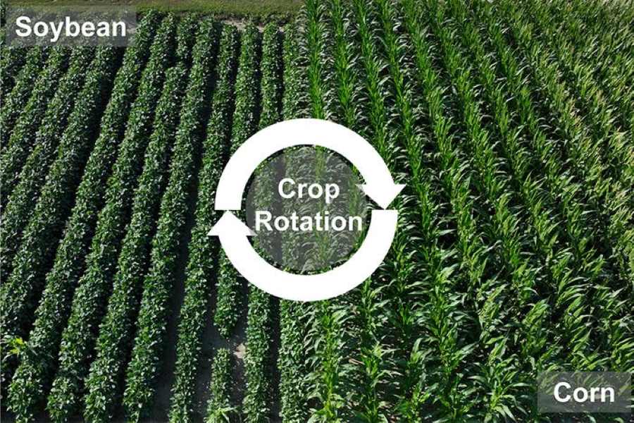 Climate Science Digest: January 15, 2025 Crop Rotation (climate adaptation)