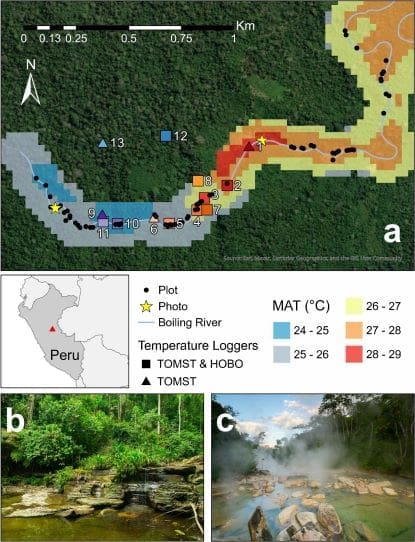 Climate Science Digest: January 29, 2025 Image in study 'Hotter Temperatures Reduce the Diversity and Alter the Composition of Woody Plants in an Amazonian Forest'