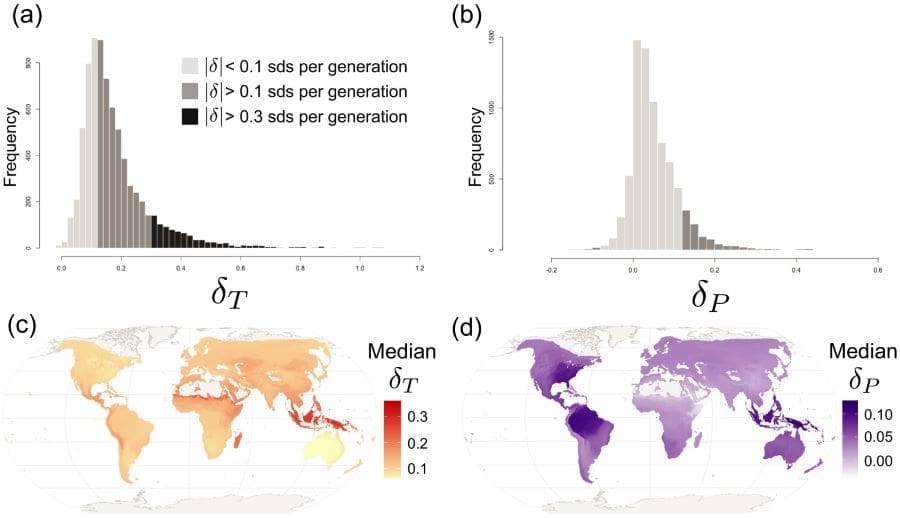 Birds adjust life strategies based on climate variability, study finds Graphic from study DOI: 10.1111/ele.70077 (s. birds, climate, environment)