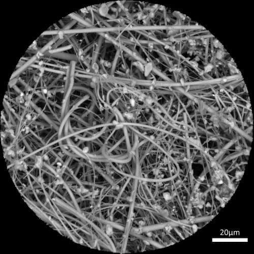 Climate Science Digest: August 11, 2025 Image: Electron microscope image of a quartz fiber filter with numerous micrometer-sized microplastic indoor dust particles