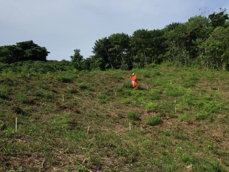 Climate Science Digest: January 15, 2026 Image: team member spreads fertilizer on a recently abandoned pasture plot