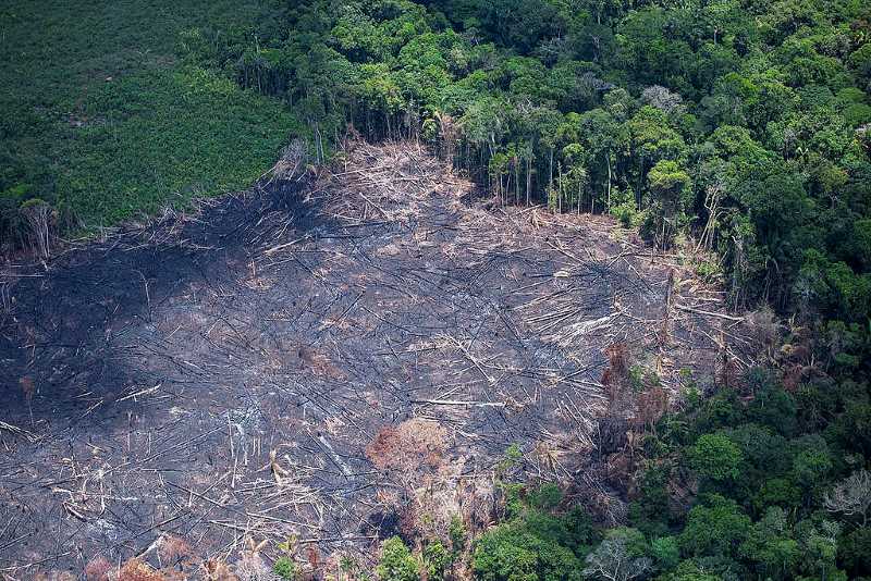 Amazon deforestation tied to fewer rainy days and higher surface temperatures Image: Amazon deforestation