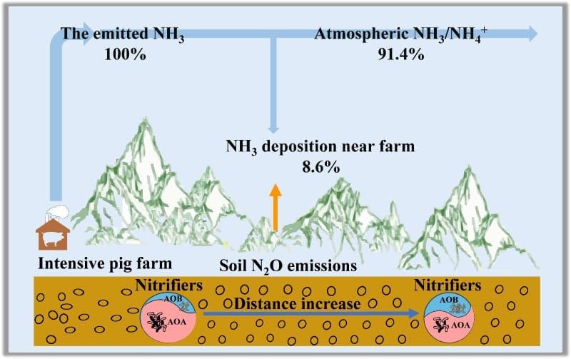 Pig farm ammonia pollution linked to higher nitrous oxide emissions in nearby soils Image: Graphical abstract - Increased soil NโO emissions under natural gradient of atmospheric NHโ deposition (s. ammonia pollution)