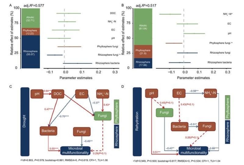 Climate Science Digest: March 10, 2026 Image: Graphic - Shifting from biotic to abiotic drivers of urban microbial multifunctionality under drought and rehydration