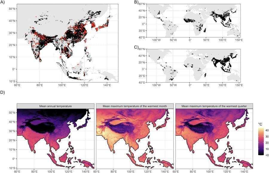 Image: Fig 1 - Observed rice extent data and thermal predictors - 'Projected warming will exceed the long-term thermal limits of rice cultivation'