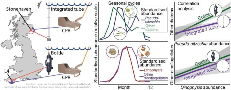 Image: Graphical abstract -  'Changing Pseudo-nitzschia and Dinophysis distributions in the North Sea and Western Approaches (NE Atlantic) and their potential use in biodiversity assessments' (s. Toxic algae linked to shellfish poisoning shifted across the North Sea)
