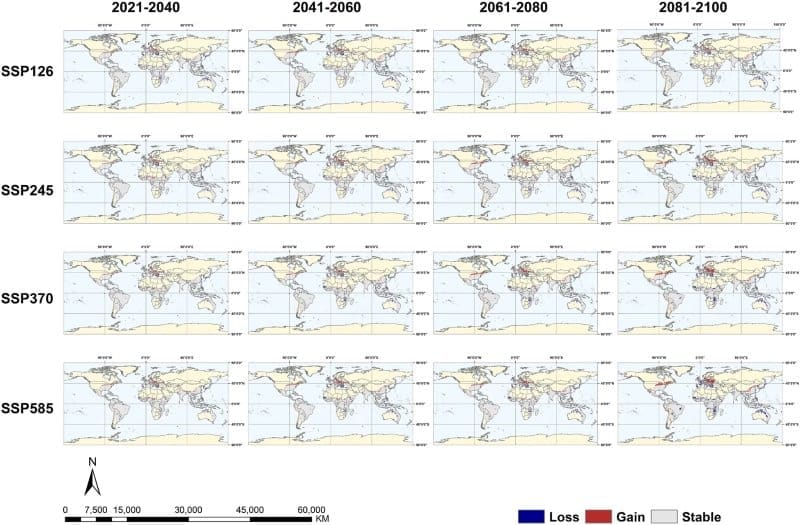 Climate change may expand chikungunya risk into Europe and North America Image: Fig. 9 - Changes in the potential distribution of CHIKV under future climate scenarios -
Zhang Q, Zhang L, Ma Y, Jiang Z, Si Y, Zhang T, Jin B, Tao F, Wu Y and Xu Y, 'Predicting the global risk of chikungunya virus under climate change using ensemble species distribution models'