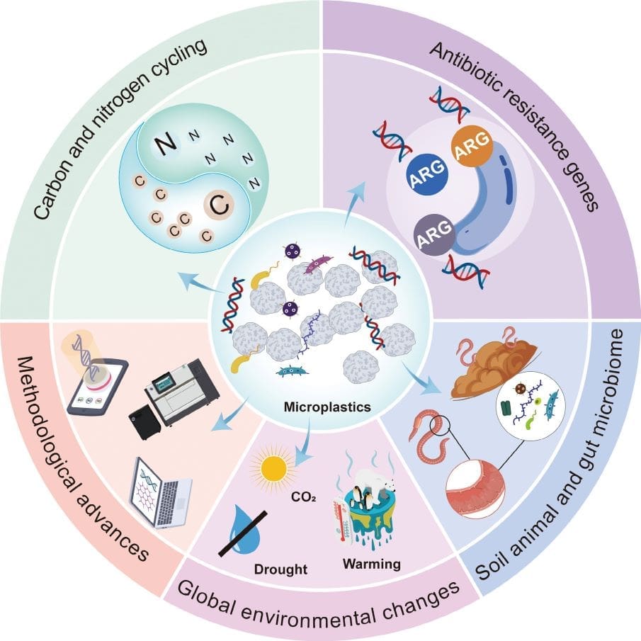 Microplastics do more than accumulate in the environment Image: Graphical Abstract - 'Effects of microplastic on soil ecosystems: a perspective from functional genes' (s. microplastics)