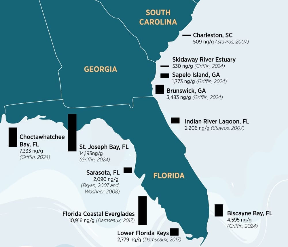 Image: Scientists have found elevated mercury levels in dolphins throughout the Southeast since 2007 