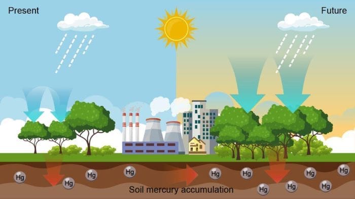 Rising mercury levels in soil could be linked to climate change, study suggests es4c01923 0004 res