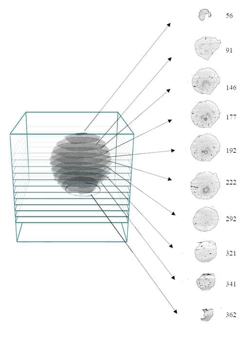 3D imaging of giant hailstones offers new insights for storm prediction Hailstones