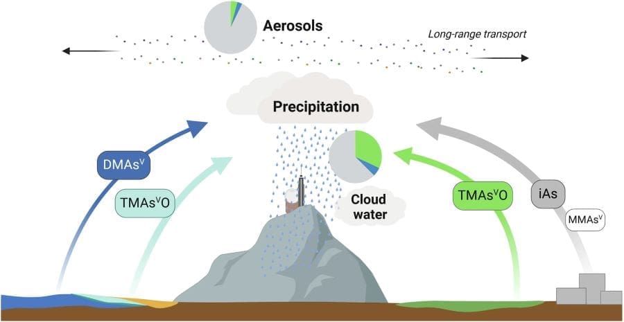 Tracing arsenic in rain reveals complex environmental pathways Graphic: Overview of source contributions for atmospheric arsenic (As) species in deposition samples collected at Pic du Midi Observatory (s. rain, climate)
