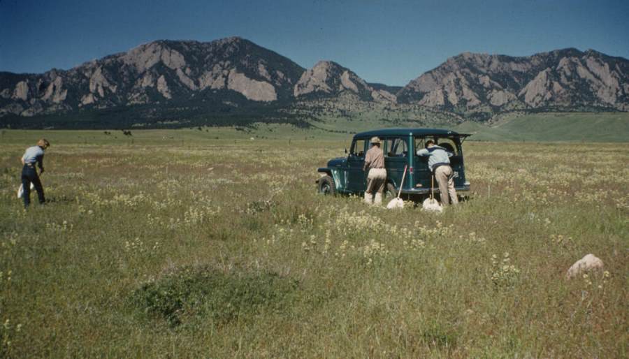 Image: Members of the original team surveying for grasshoppers below the Flatirons outside Boulder, Colorado, between 1958 and 1960. The initial grasshopper survey was led by Gordon Alexander of CU Boulder (s. insects, climate)