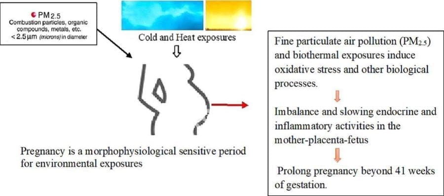 Climate change and air pollution linked to prolonged pregnancy Graphical abstract: study 'Maternal climate-related exposures and prolonged pregnancy - Findings from a statewide population-based cohort study in Western Australia' (s. climate, pollution, pregnancy)