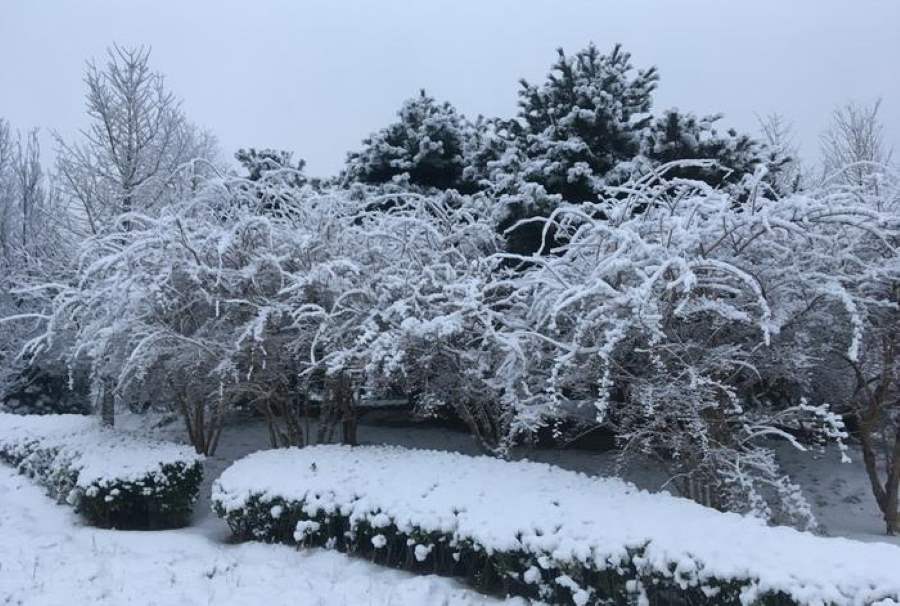 Why deep freezes persist despite global warming Image: cold spell (s. climate, freezes, temperature, global warming)