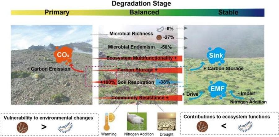 Climate Science Digest: February 25, 2025 Image: Schematic representation of the dynamics of microbial community characteristics (s. science, climate)