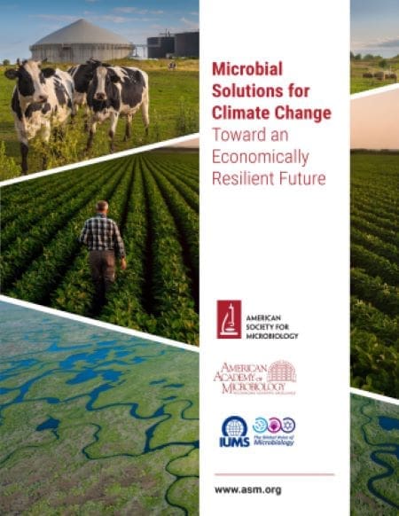 ASM and IUMS unveil global framework to implement microbial climate solutions Image: Microbial Solutions for Climate Change Report Cover