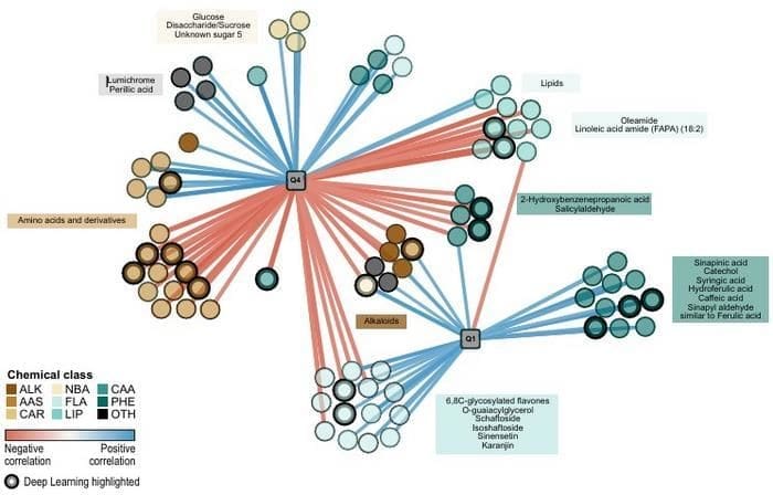 Image: Complex interaction network of root exudate metabolites and BNI activity in different wheat genotype (s. science, climate, Muser)