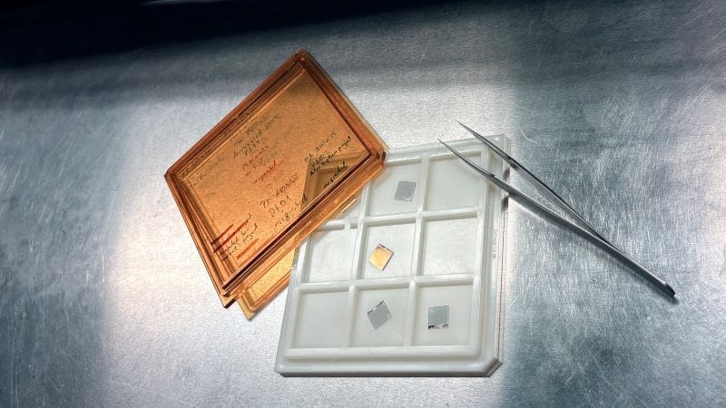 Climate Science Digest: February 6, 2026 Image: Humidity-resistant hydrogen sensor
