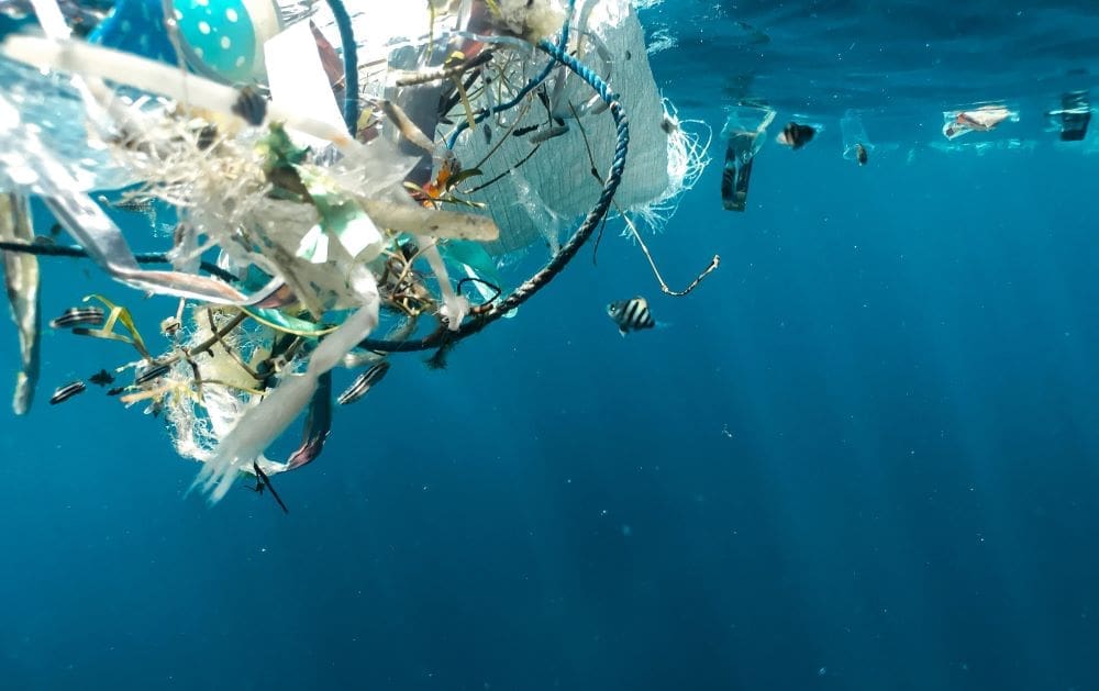 AI system tracks ocean plastic from space to help cleanup efforts Image: marine plastic pollution