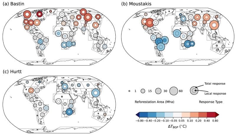 Image: Synthesis of reforestation potentials and biogeophysical temperature responses | Fig 5 - Reforestation scenarios shape global and regional temperature outcomes