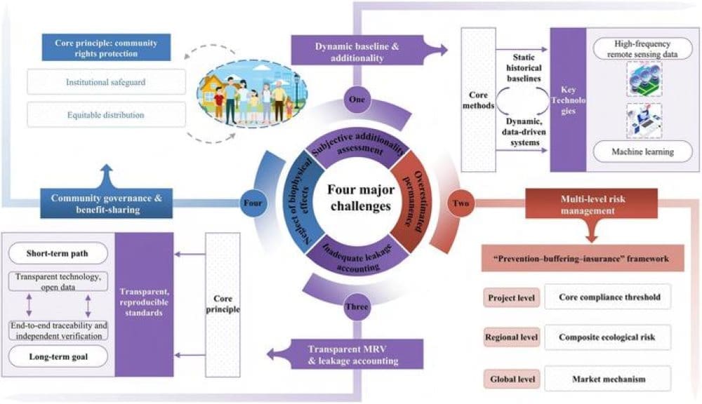 New framework aims to rebuild trust in forest carbon credits Image: Graphical abstract - 'Restoring Trust: Rebuilding the Forest Carbon Credit System Through Scientific Rigor' (s. forest carbon credits, climate change mitigation)
