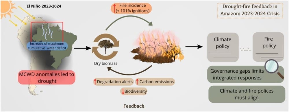 Image: Graphical abstract - 'Intensification of drought-associated wildfires challenges actions for Amazonia’s sustainable development'